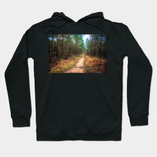 Forest Path Through the Trees Hoodie